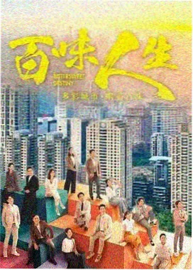 剧集样本《雾港档案》海报缩略图